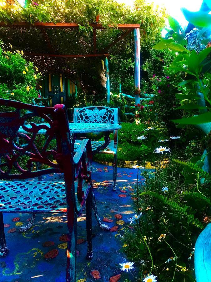 Heidi'S Home Нувара-Елія Екстер'єр фото